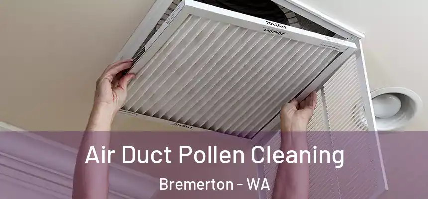  Air Duct Pollen Cleaning Bremerton - WA