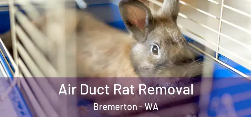  Air Duct Rat Removal Bremerton - WA