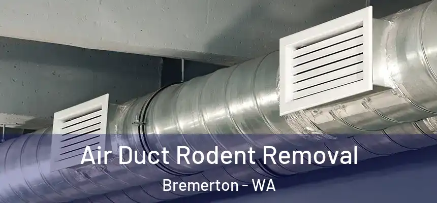  Air Duct Rodent Removal Bremerton - WA