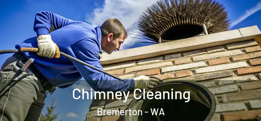  Chimney Cleaning Bremerton - WA