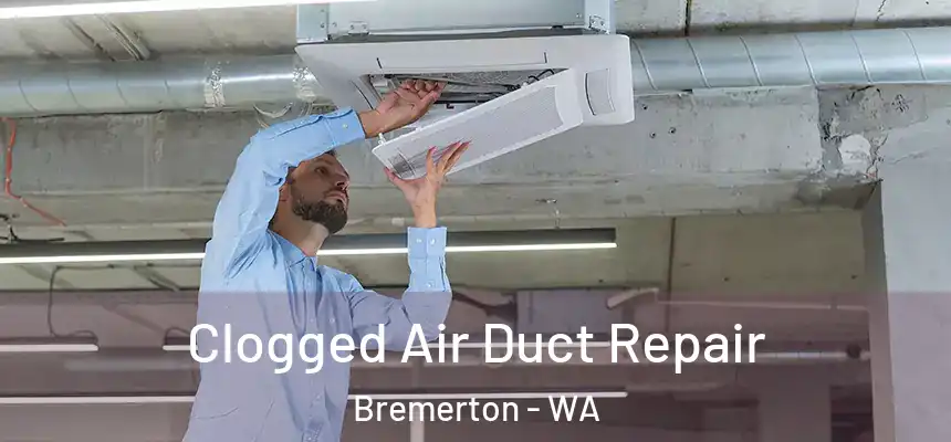  Clogged Air Duct Repair Bremerton - WA