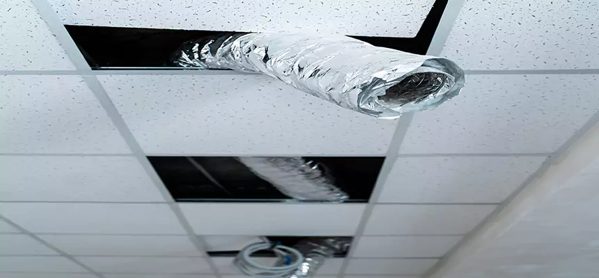 Our Air Duct Pet Hair Removal Services in Bremerton, WA