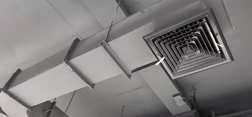 Restorative Allergy Relief Vent Cleaning – Coil, Blower & Housing Detail in Bremerton