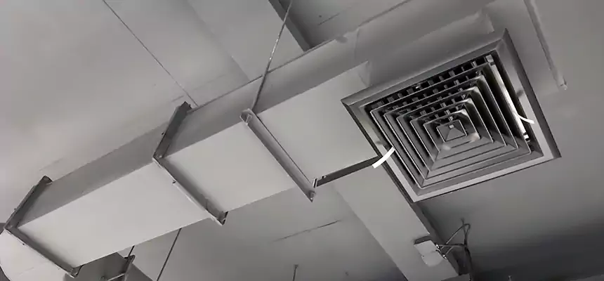 Our Pest Removal From Ducts Services in Bremerton, WA