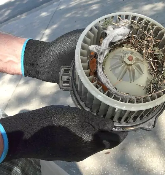 About Air Duct Mice Removal in Bremerton, WA