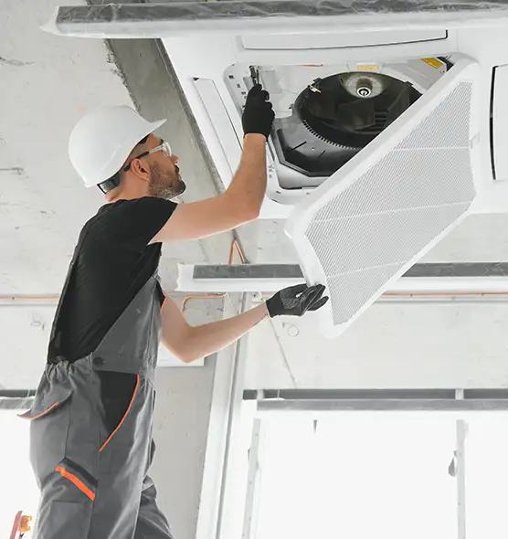 About Air Duct Rodent Removal in Bremerton, WA