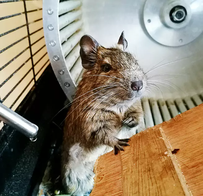 Why Homeowners & Businesses Trust Us Bremerton, WA?