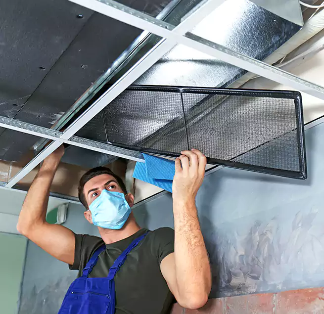 Why Homeowners Businesses Trust Us in Bremerton, WA